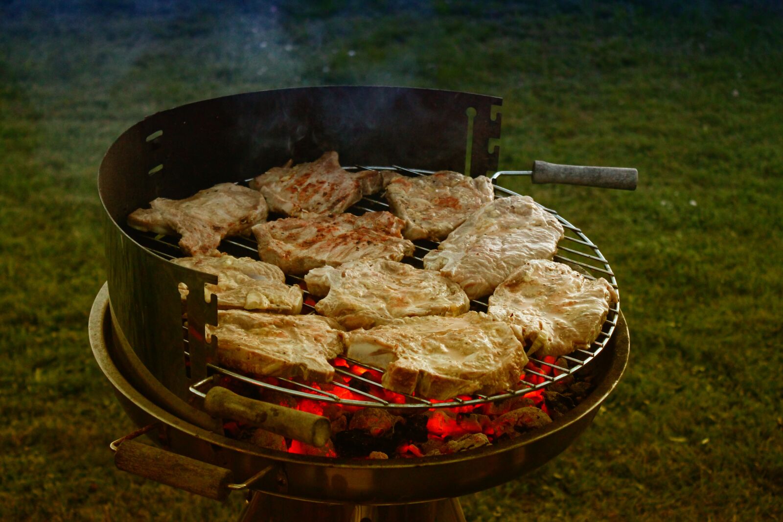 Canon EOS 1100D (EOS Rebel T3 / EOS Kiss X50) sample photo. Grill, meat, barbecue photography