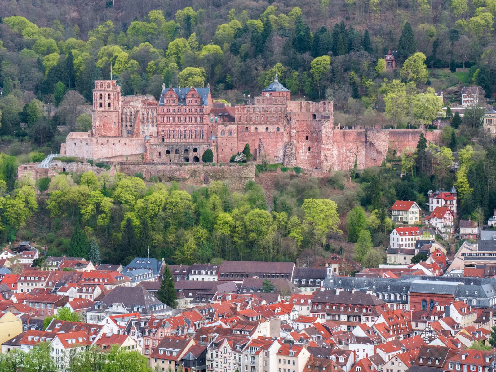 Panasonic DMC-G81 sample photo. Heidelberg, heidelberger schloss, fortress photography