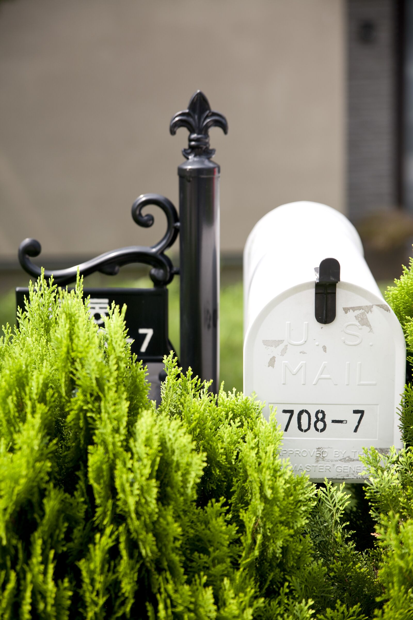 Canon EOS 5D sample photo. Mail box, tidings, home photography