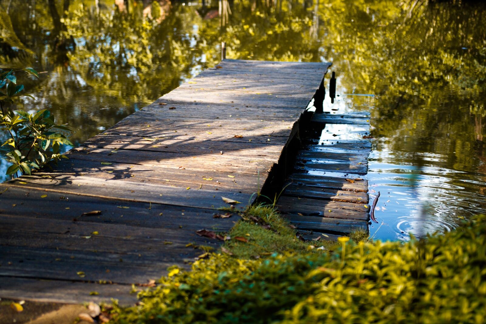 Canon EOS 750D (EOS Rebel T6i / EOS Kiss X8i) sample photo. Pier, dock, water photography