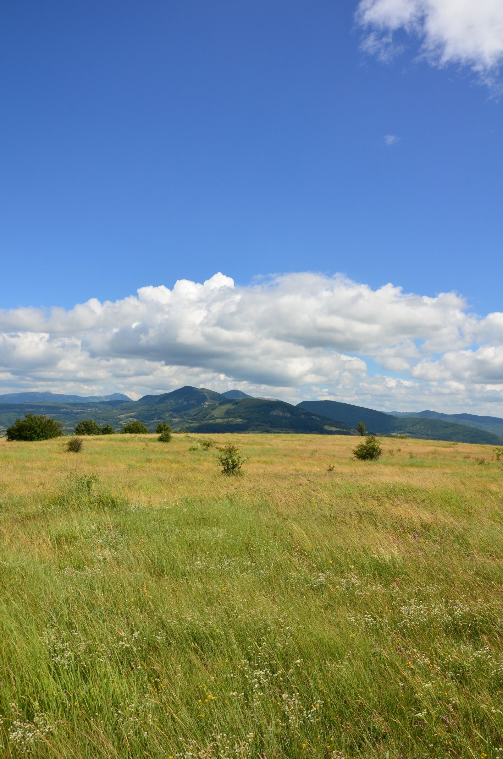 Nikon D5100 sample photo. Landscape, grass, sky photography