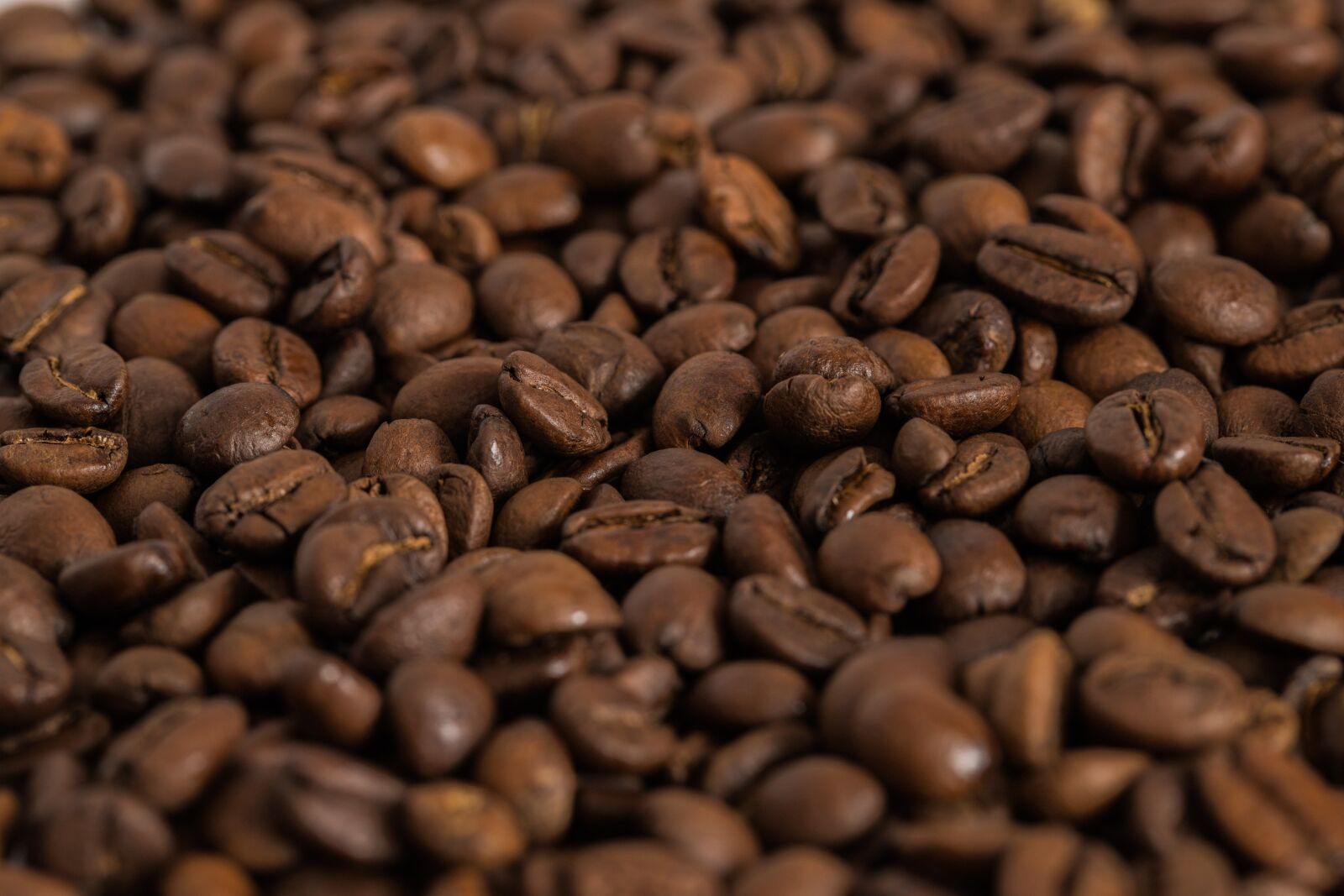 Canon EOS 6D Mark II sample photo. Coffee, roasted, puppet photography