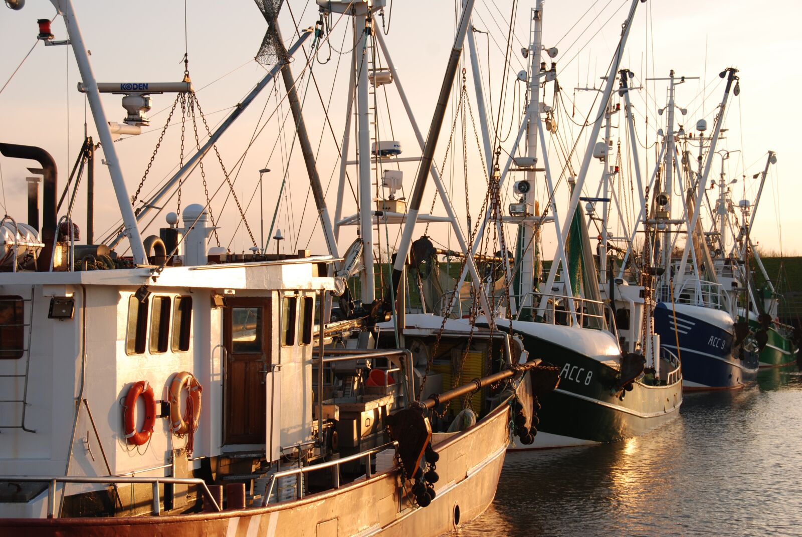 Nikon D80 sample photo. Port, cutter, evening photography