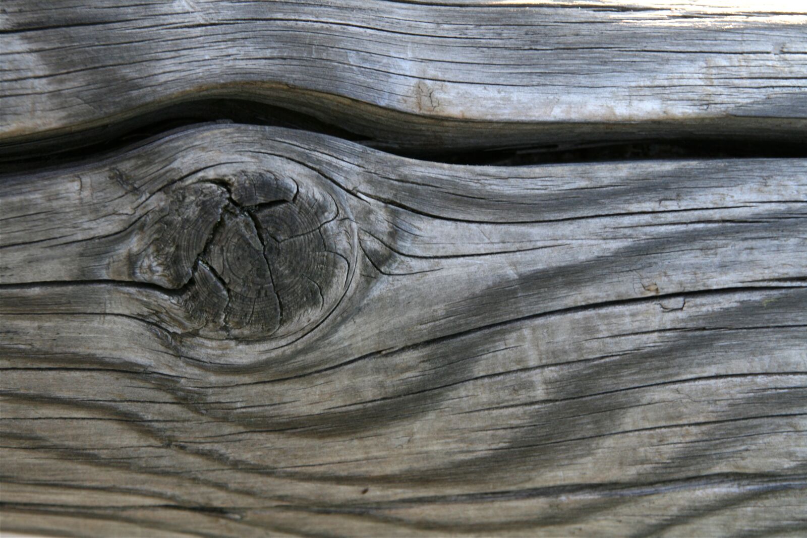 Canon EOS 400D (EOS Digital Rebel XTi / EOS Kiss Digital X) sample photo. Wood, structure, texture photography