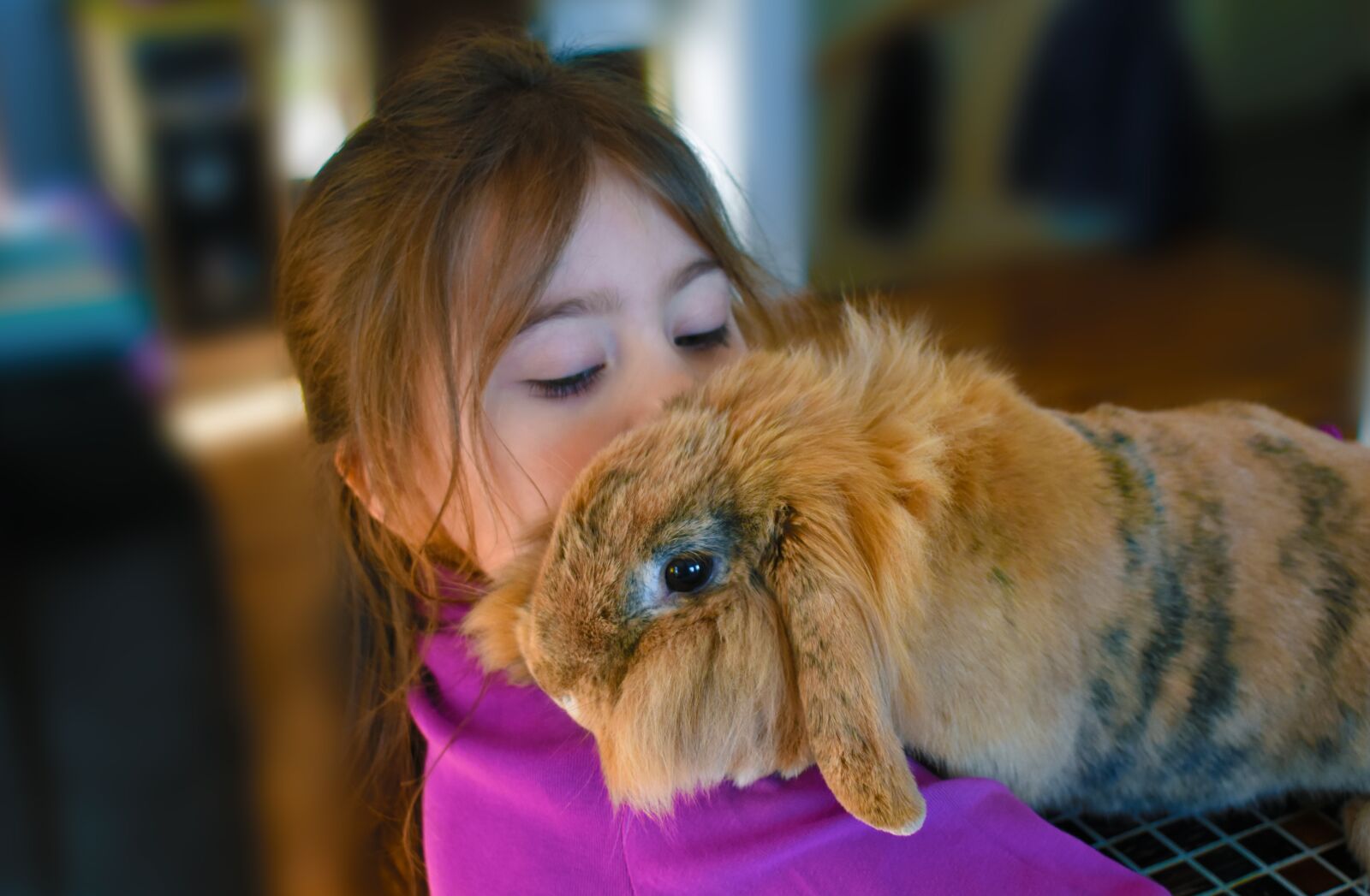 Nikon D3400 sample photo. Girl, rabbit, pet photography