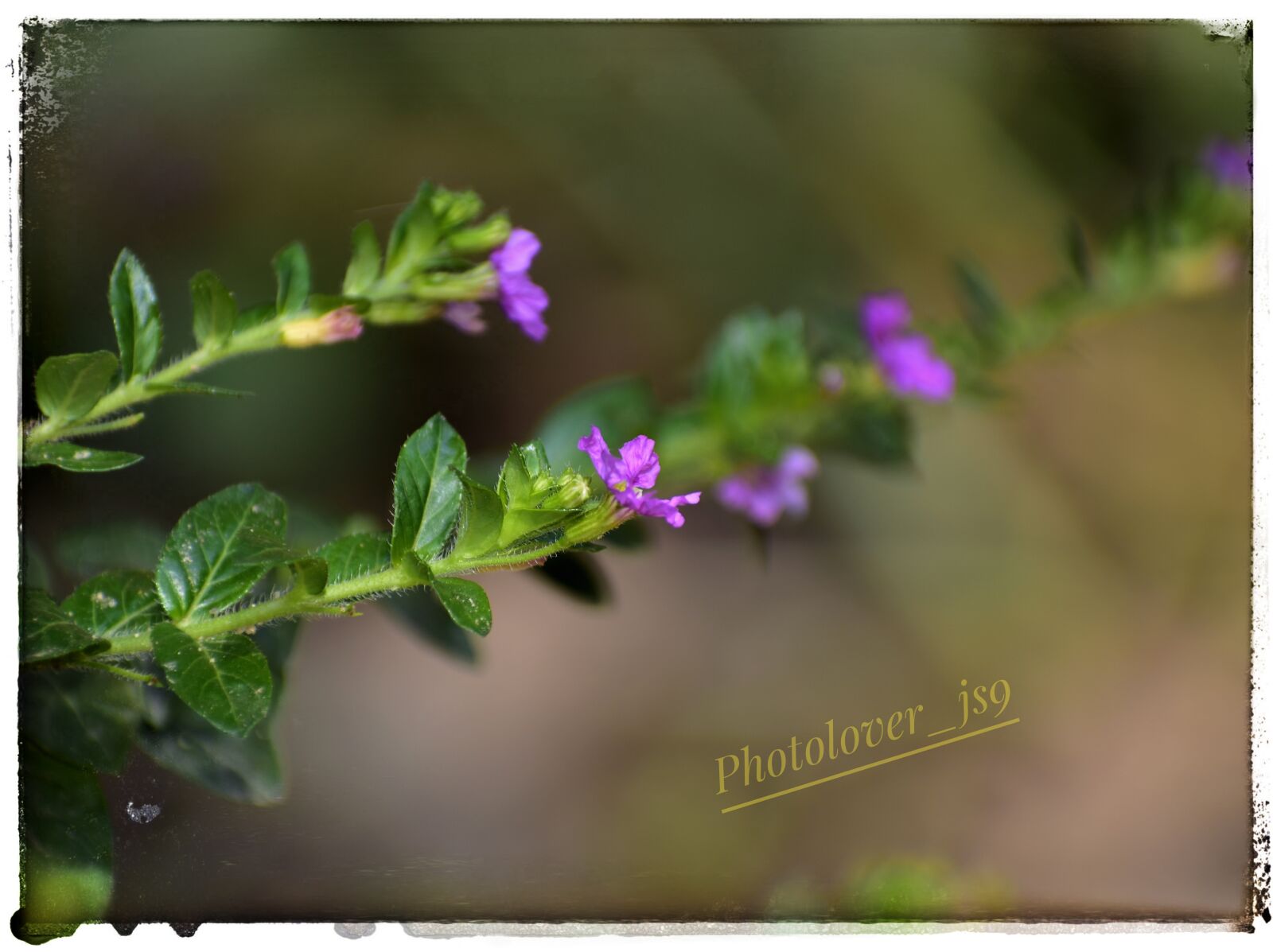 Nikon D3400 sample photo