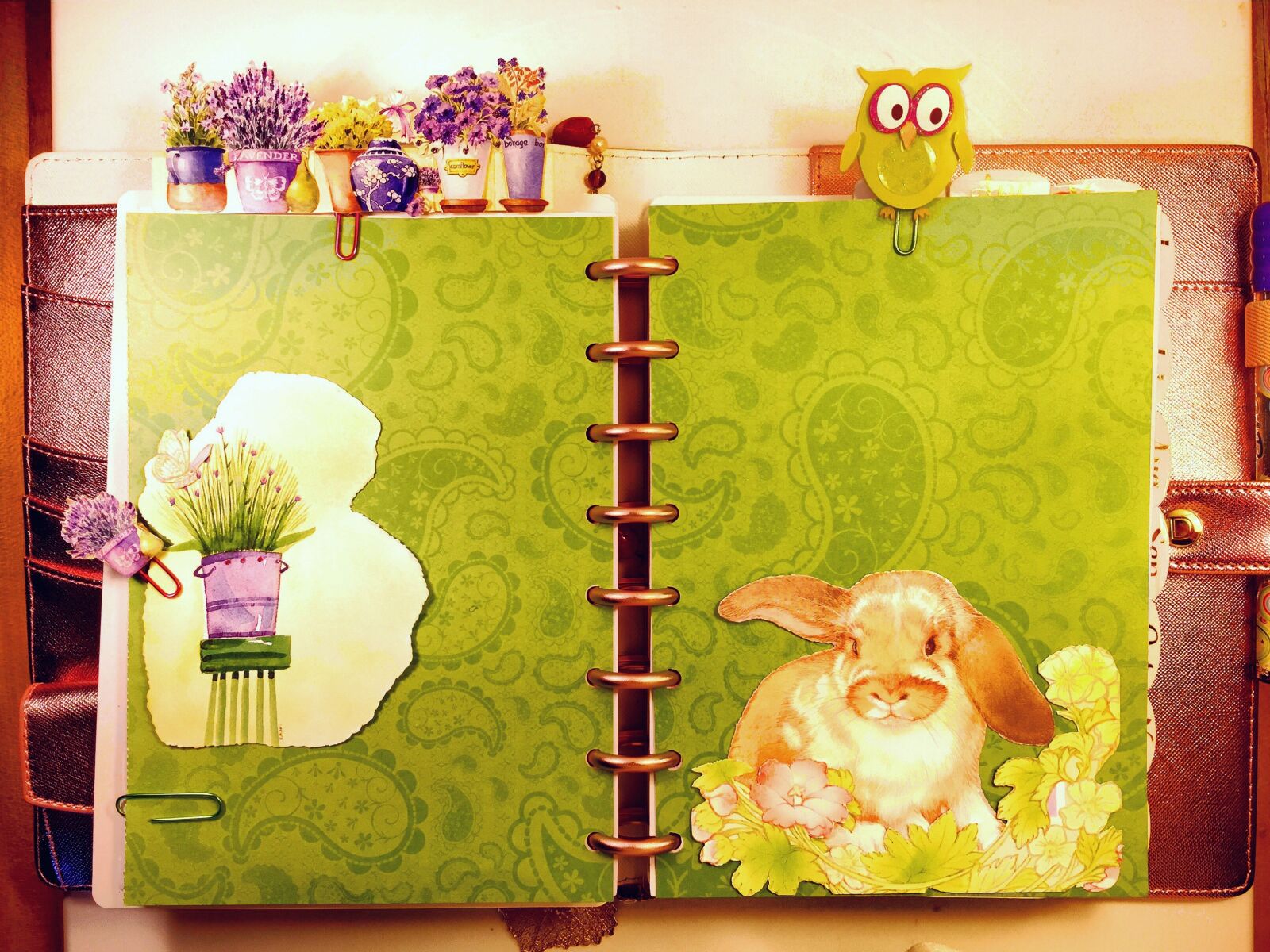 iPhone 6 Plus back camera 4.15mm f/2.2 sample photo. Spring, planner, bunny photography