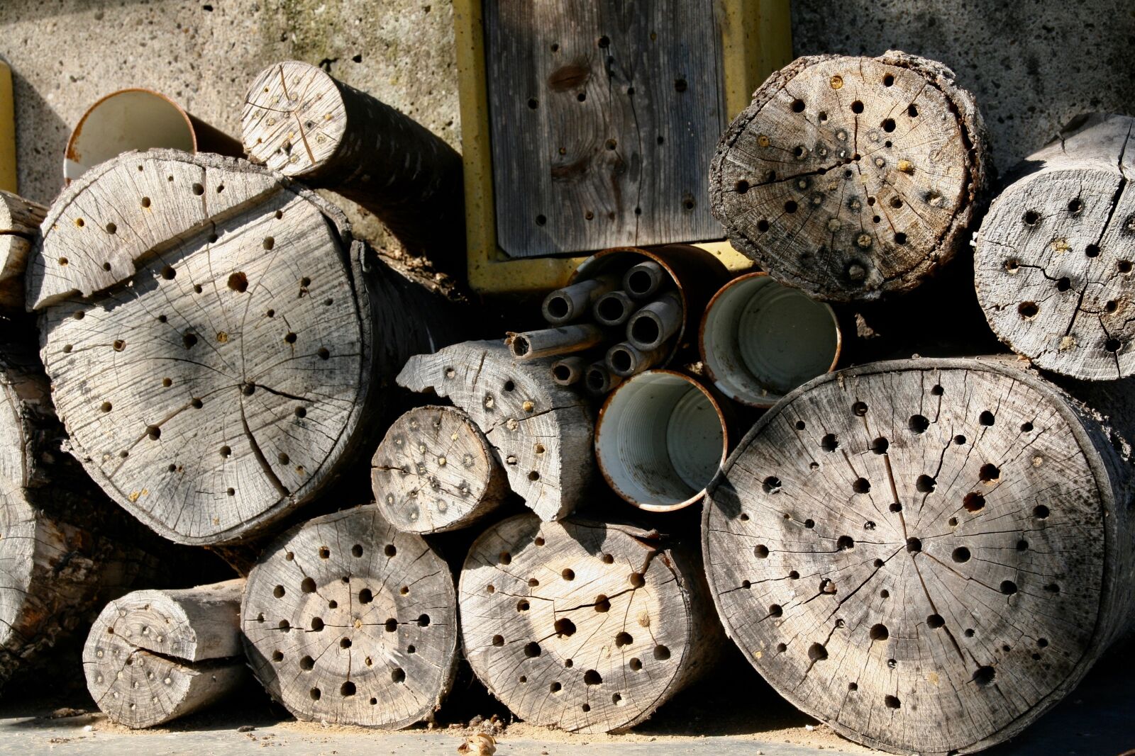Canon EOS 400D (EOS Digital Rebel XTi / EOS Kiss Digital X) sample photo. Bee hotel, insect, bees photography