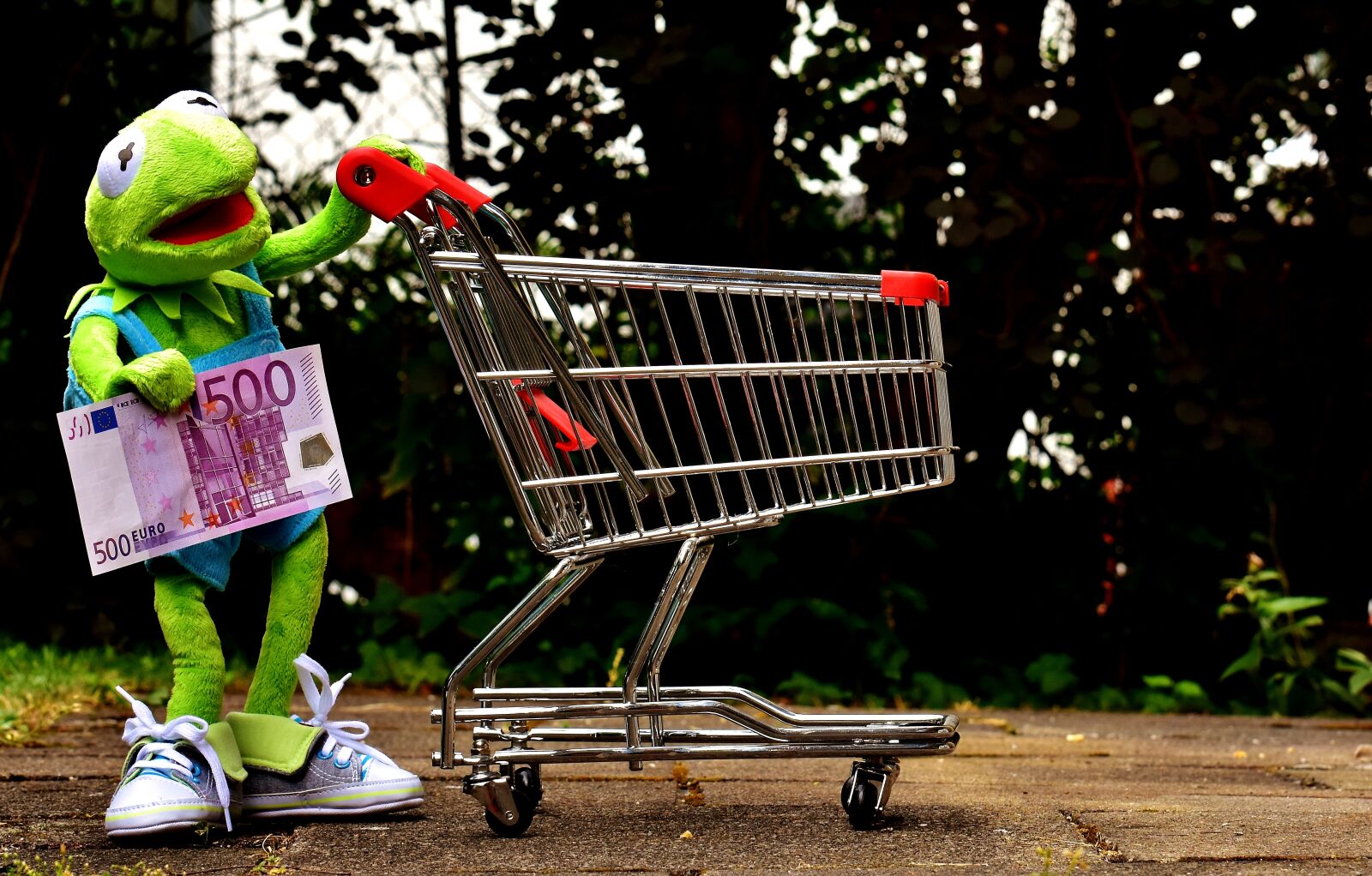 Nikon D7200 sample photo. Kermit, shopping cart, shopping photography