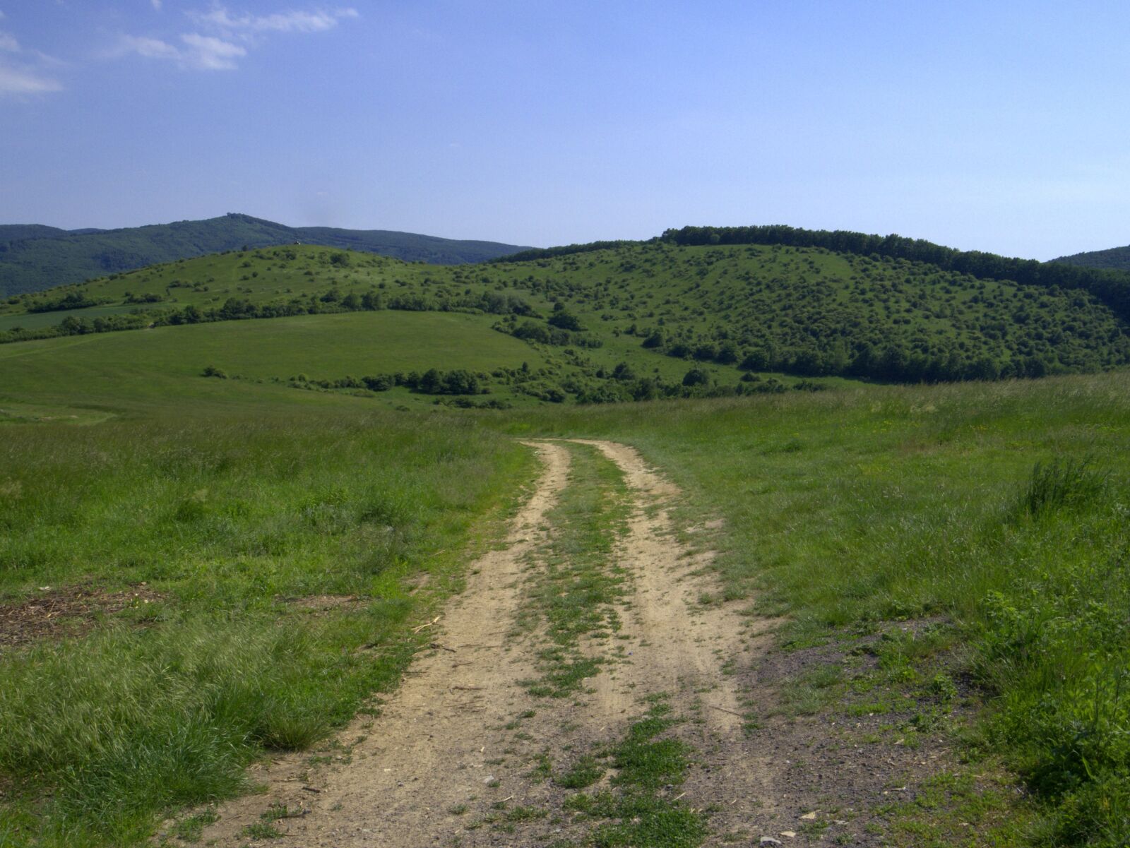 Panasonic Lumix DMC-G6 sample photo. Lane, meadow, country photography