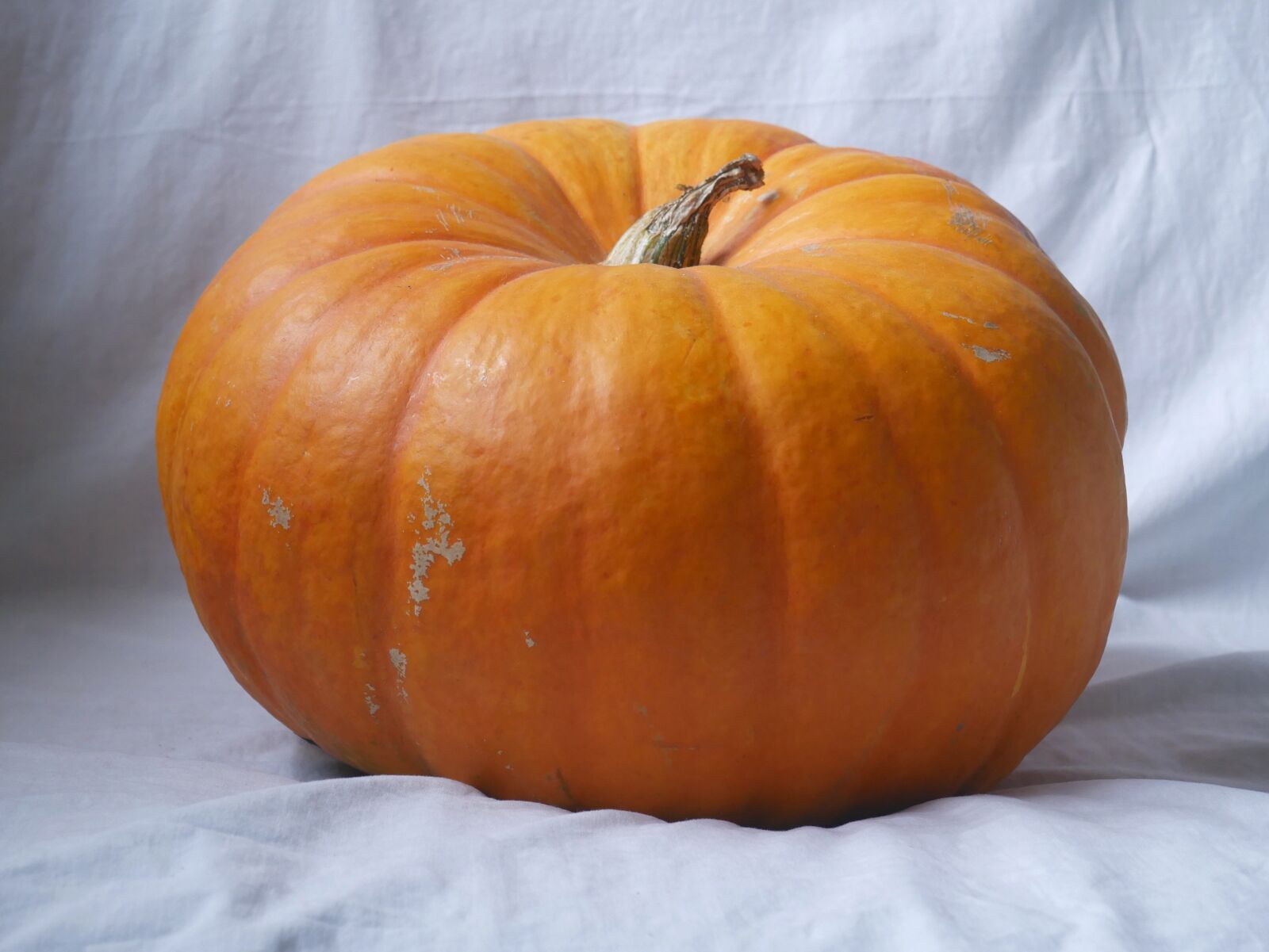 Panasonic Lumix DMC-G7 sample photo. Pumpkin, halloween, autumn photography