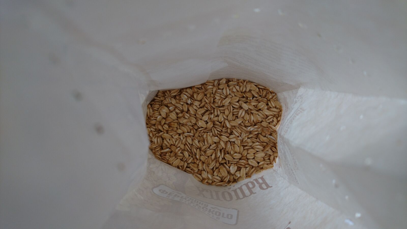 Sony Xperia X sample photo. Oat, grain, oats photography