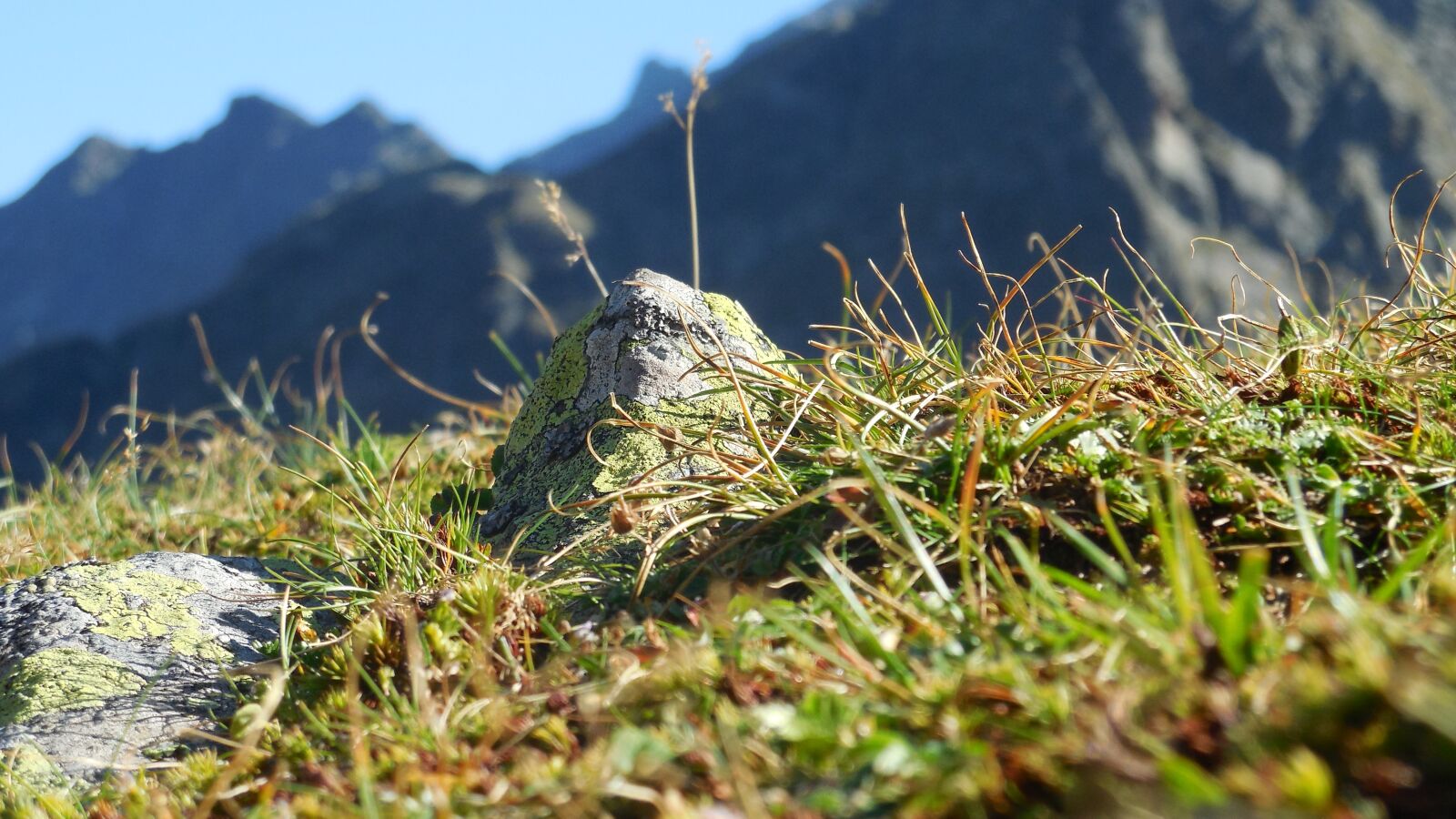 Nikon Coolpix S6500 sample photo. Mountains, stone, meadow photography