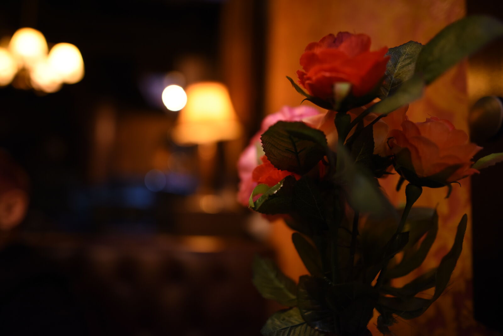 Nikon D810 sample photo. Flowers for bokeh at photography