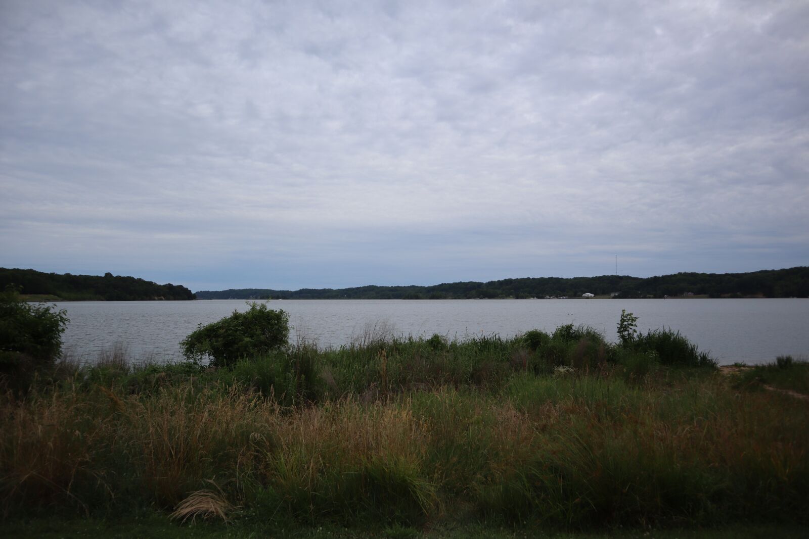 Canon EOS M50 (EOS Kiss M) sample photo. Shore, water, forest photography