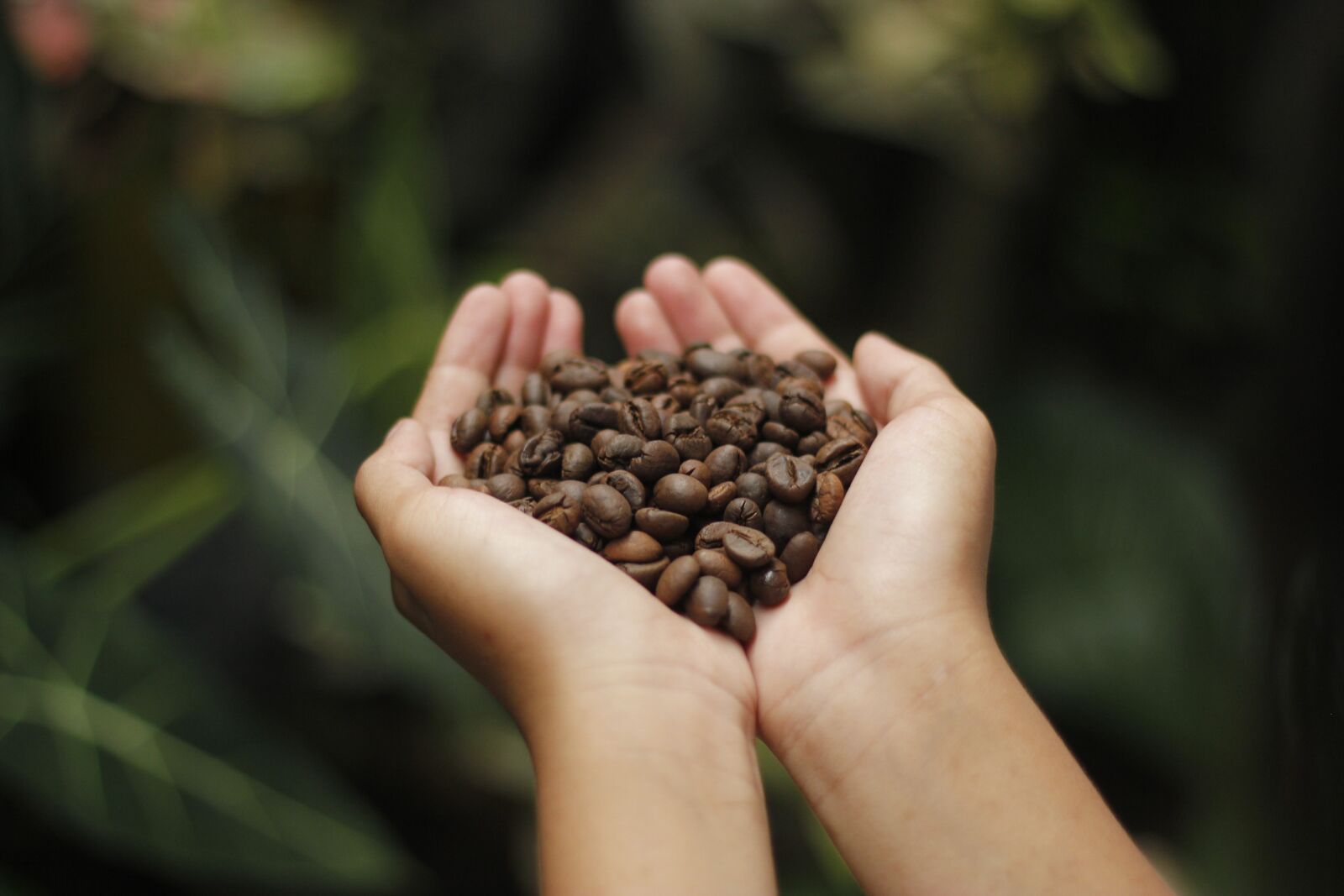 Canon EOS 550D (EOS Rebel T2i / EOS Kiss X4) sample photo. Coffee, coffee beans, aroma photography