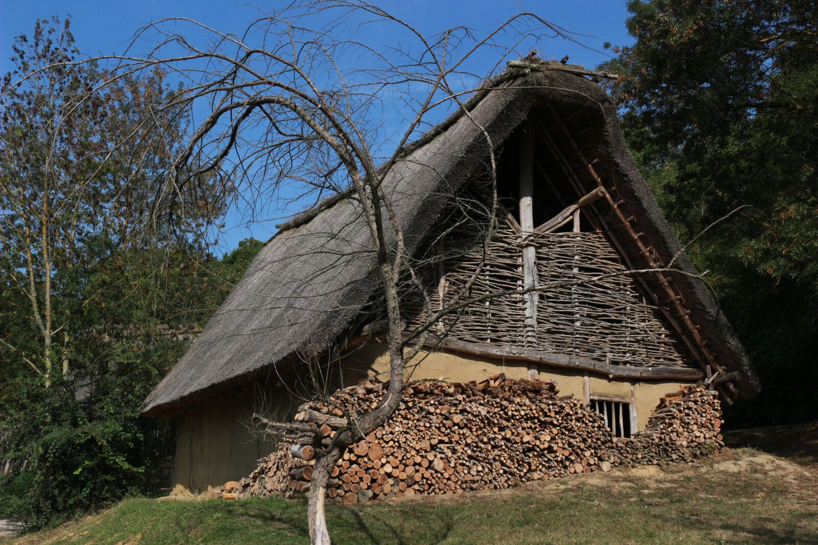 Canon EOS 100D (EOS Rebel SL1 / EOS Kiss X7) sample photo. House, former, gaul photography
