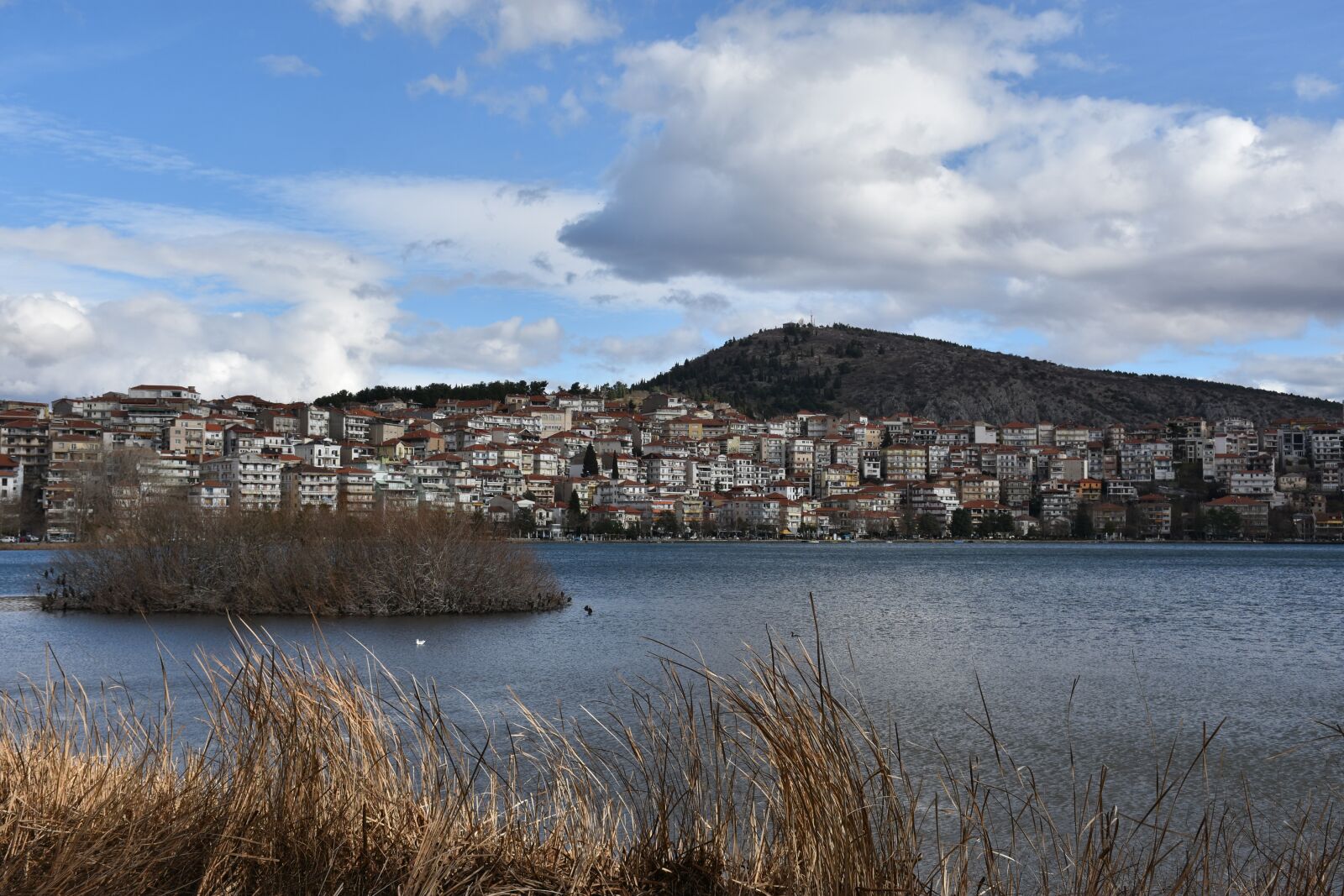 Nikon D7200 sample photo. Kastoria, duck, greece photography