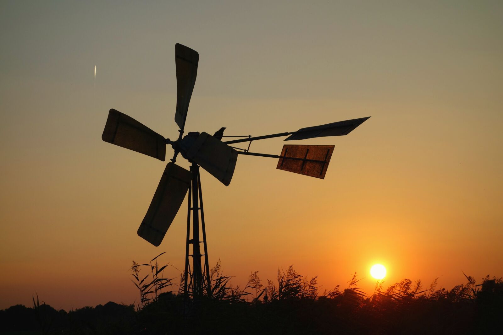 Sony Cyber-shot DSC-RX100 sample photo. Windmill, water pump, wind photography
