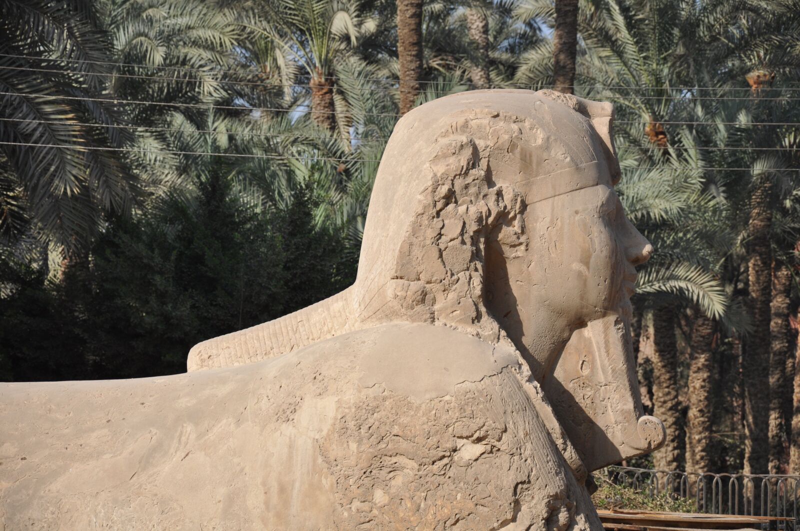 Nikon D90 sample photo. Sphinx, ramses ii, ramses photography
