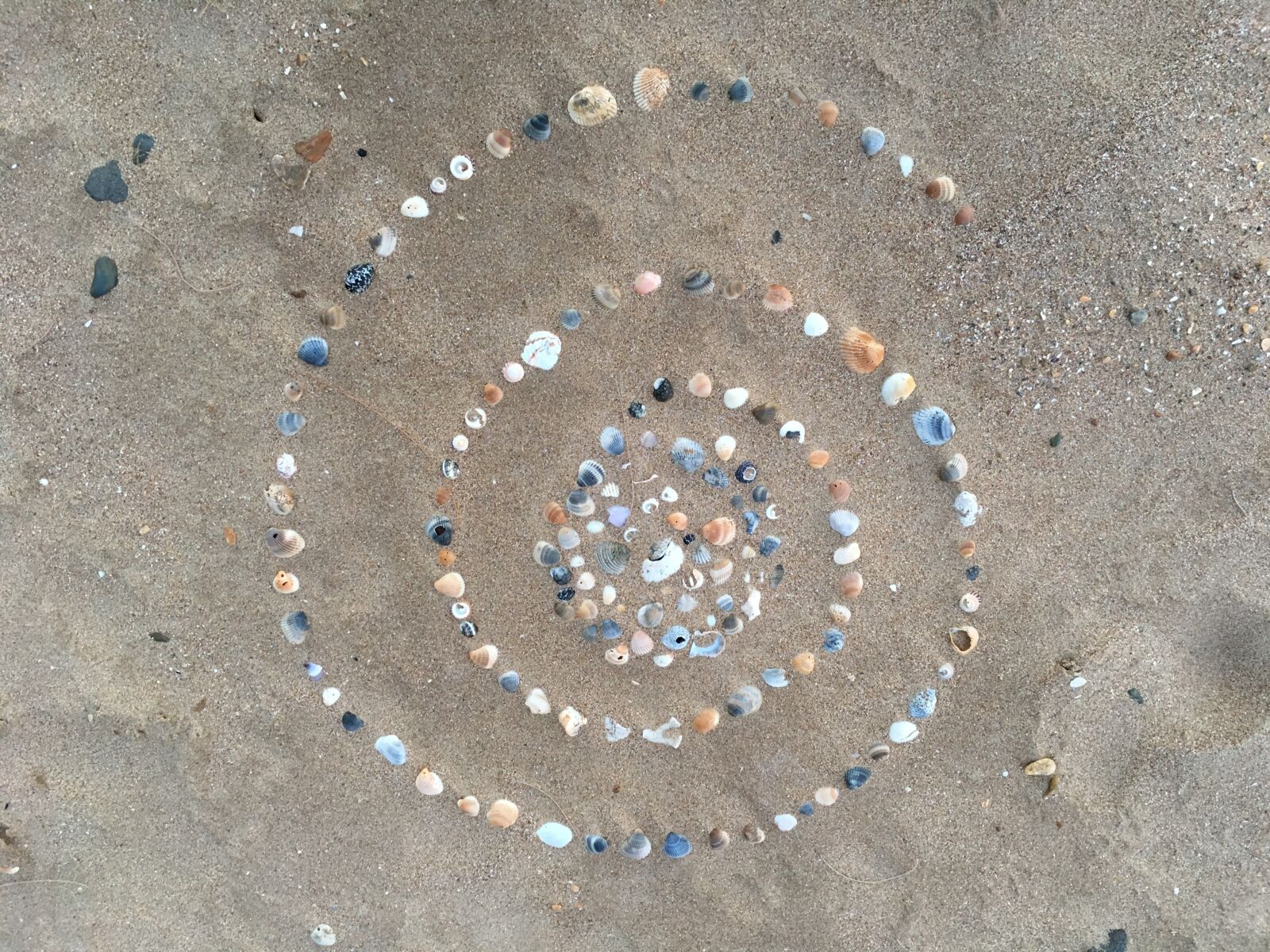 Apple iPhone 6s sample photo. Art, beach, labyrinth, shells photography