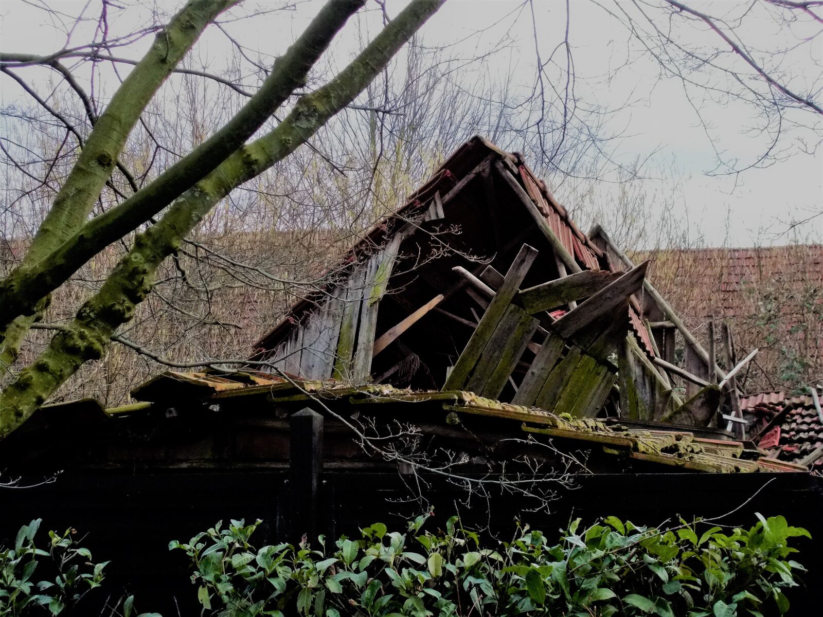 Nikon Coolpix L31 sample photo. Altes, gebaude, altes, haus photography
