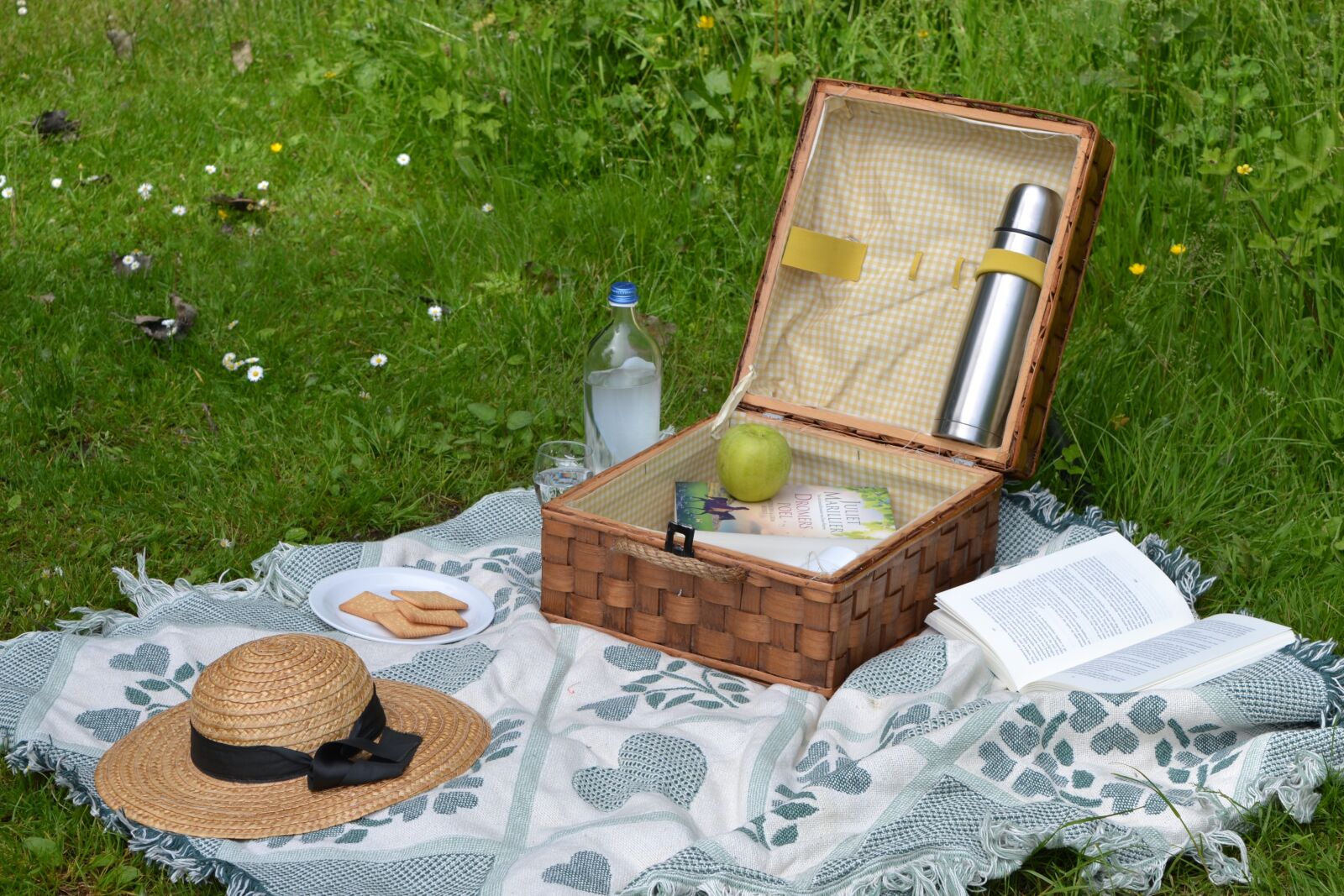 Nikon D3100 sample photo. Picnic, book, summer photography