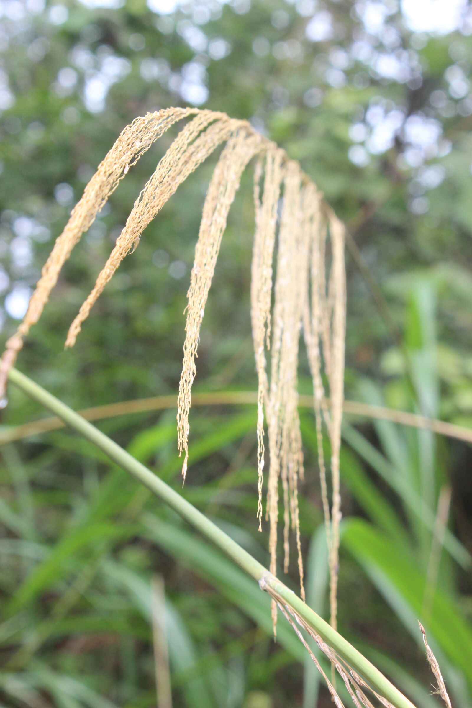 Canon EOS 600D (Rebel EOS T3i / EOS Kiss X5) sample photo. Tourism, the scenery, natural photography
