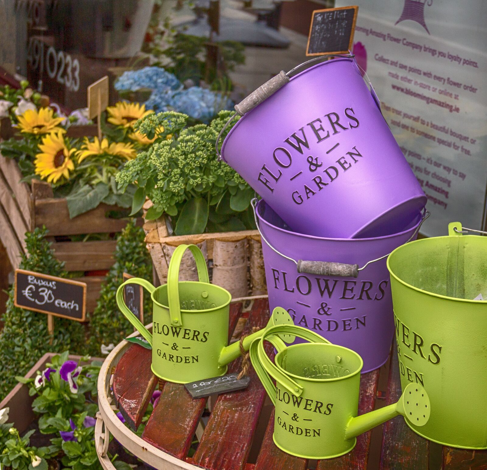 Canon EOS 550D (EOS Rebel T2i / EOS Kiss X4) sample photo. Flower shop, decoration, bucket photography
