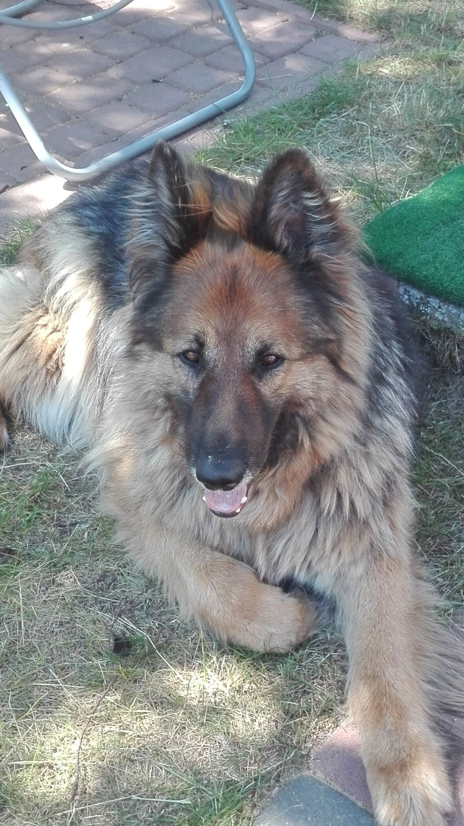 HUAWEI P8 Lite sample photo