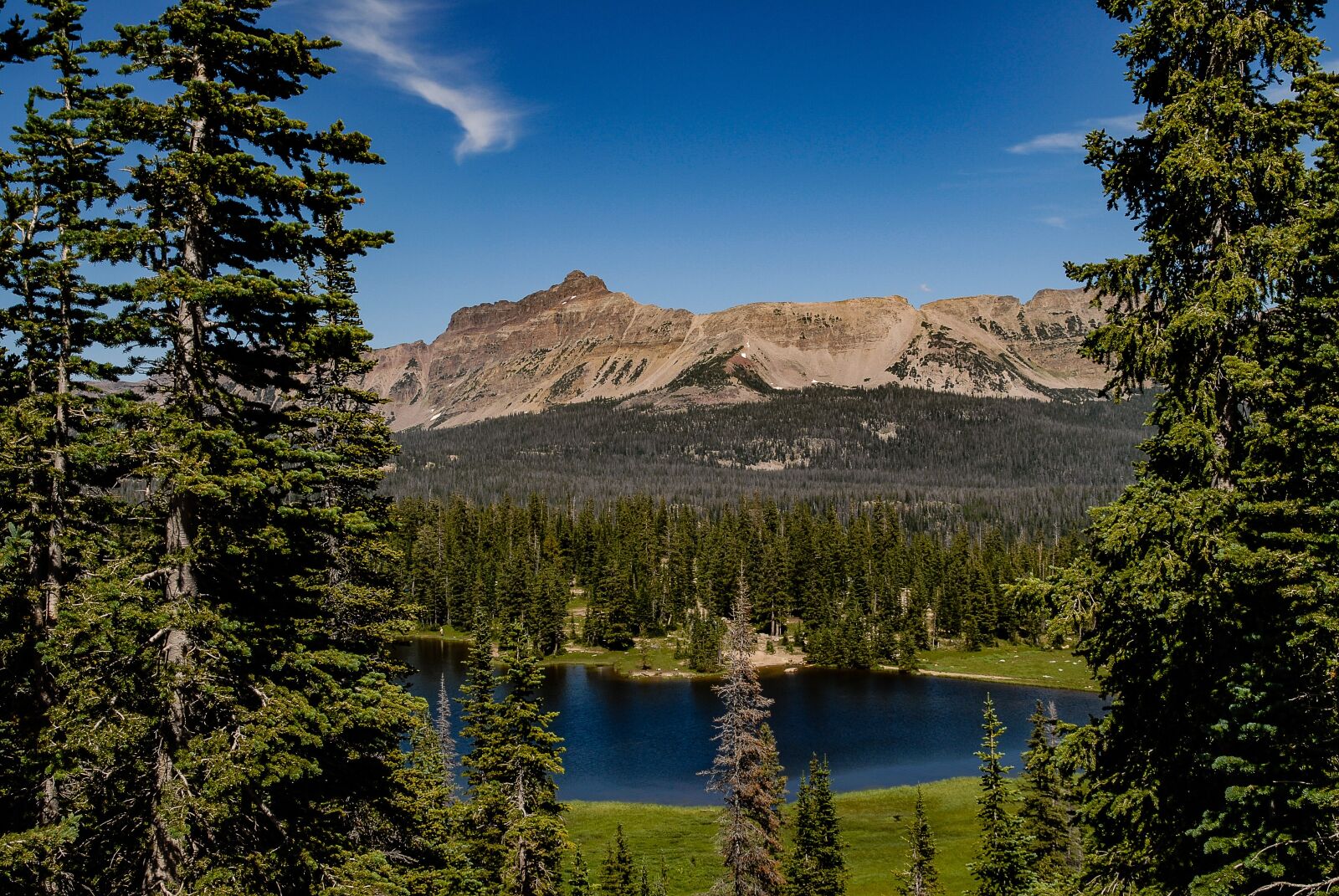 Nikon D200 sample photo. Uinta, mountains, utah photography