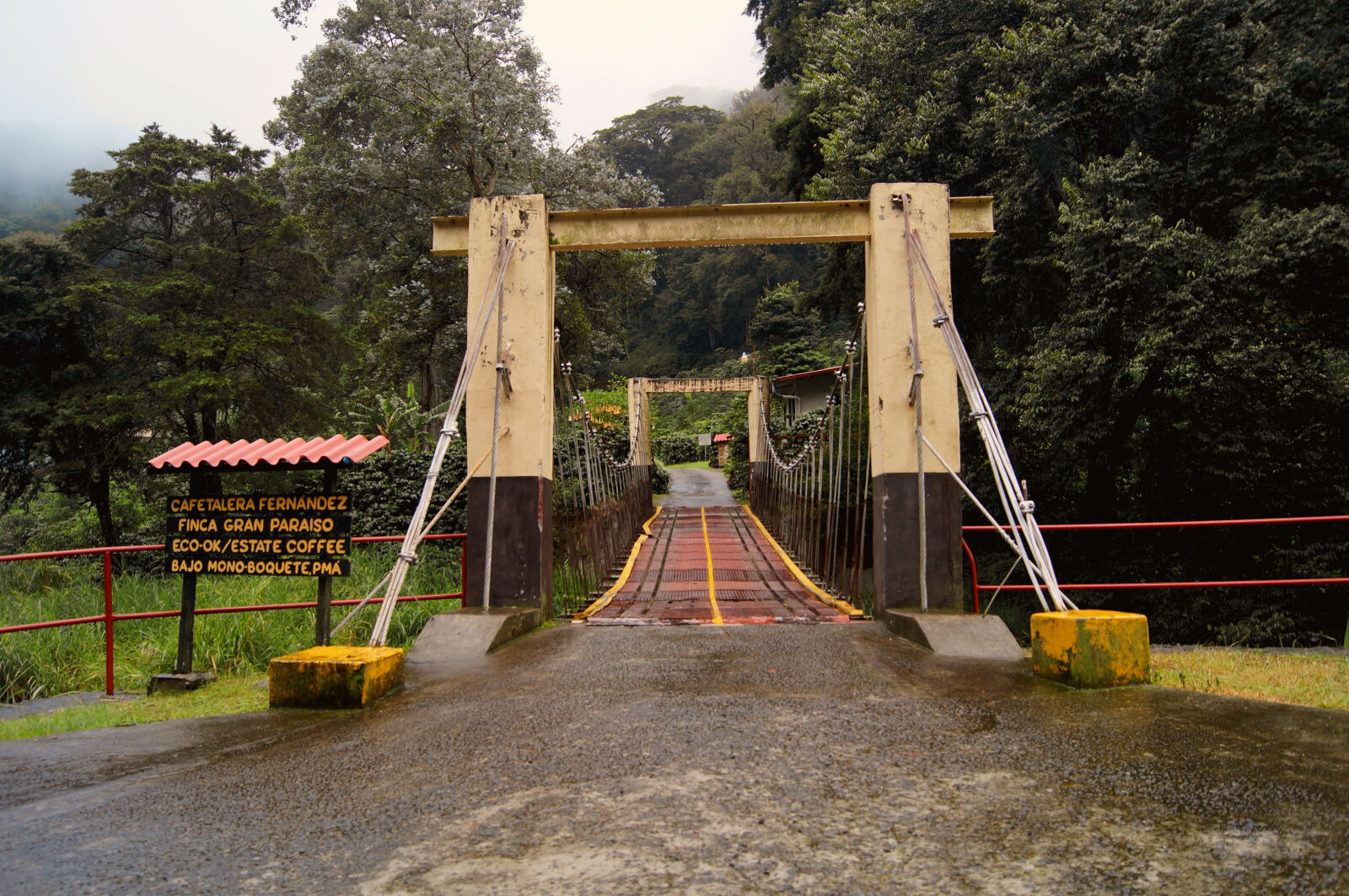 Sony SLT-A57 sample photo. Bridge, brucke, forest, hanging photography