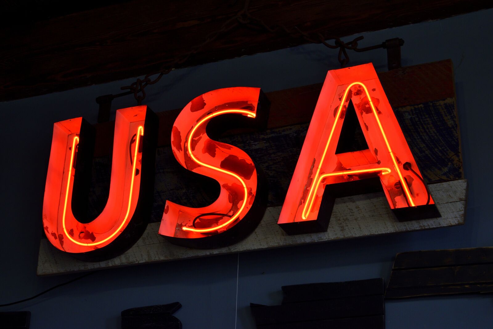 Nikon D3300 sample photo. Neon light, sign, usa photography