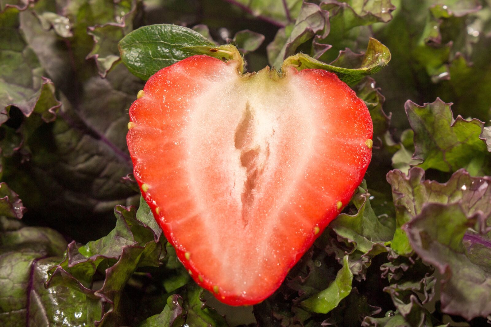 Canon EOS 700D (EOS Rebel T5i / EOS Kiss X7i) sample photo. Strawberry, food, fruit photography