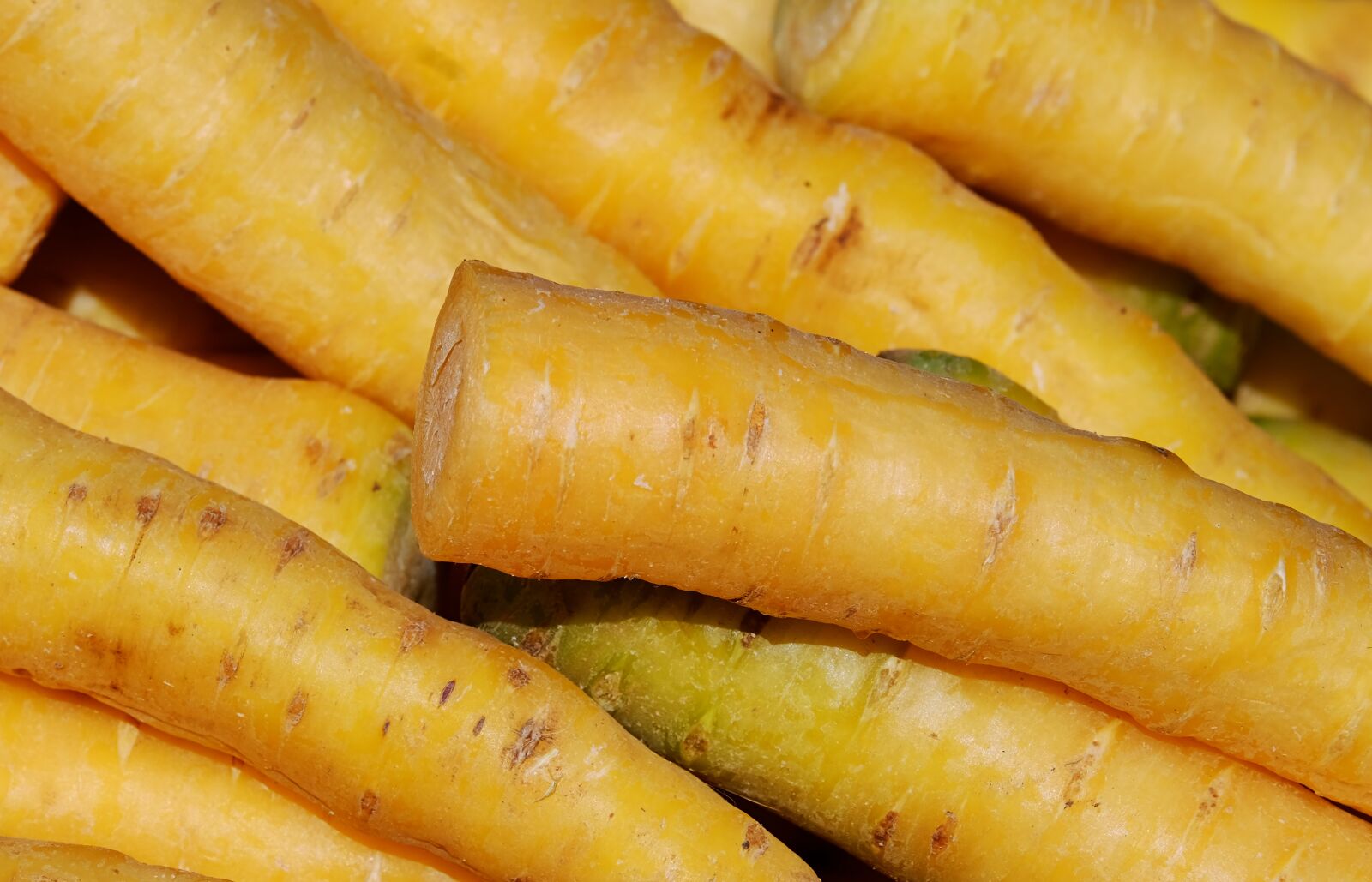 Fujifilm XF 55-200mm F3.5-4.8 R LM OIS sample photo. Yellow carrots, variety, mellow-yellow photography