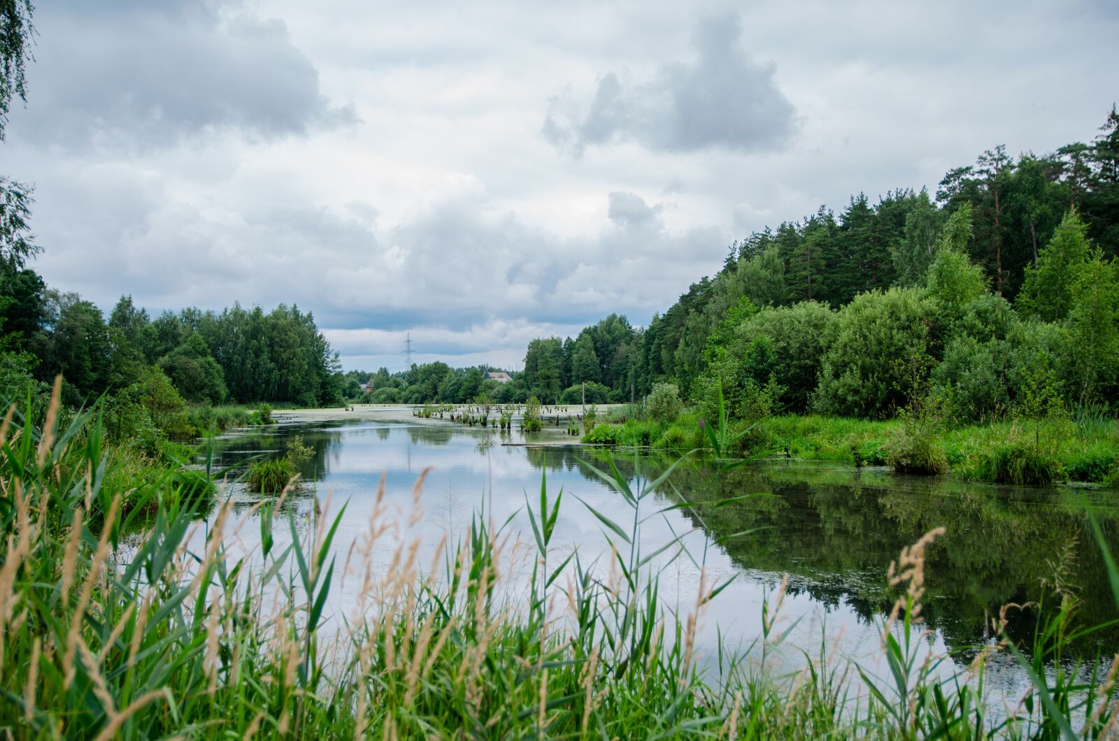 Nikon D5100 sample photo. Photo, pond, lake photography