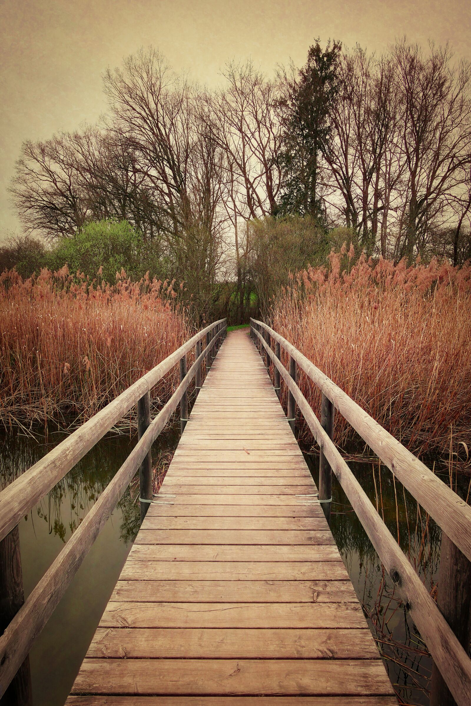 Panasonic Lumix DMC-GX8 sample photo. Bridge, vintage, retro photography