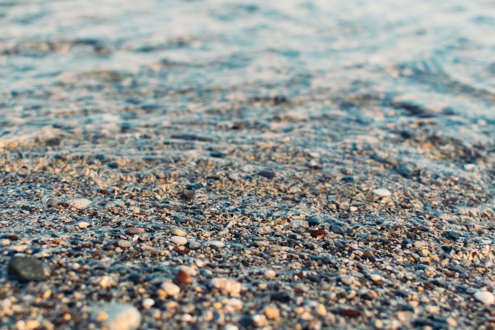 Nikon D3300 sample photo. Close, up, photography, of photography