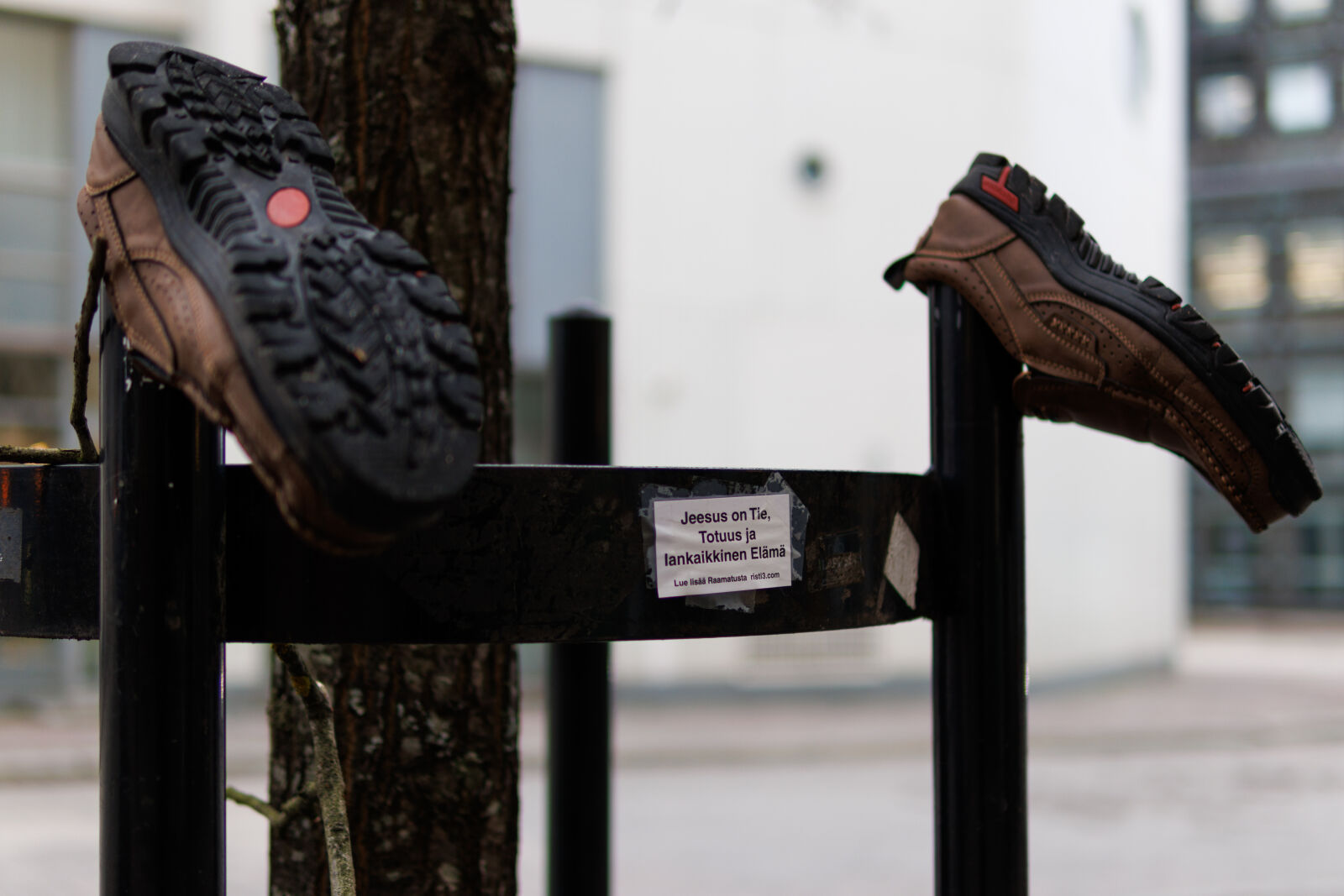 Canon EOS R7 sample photo. Shoe message photography