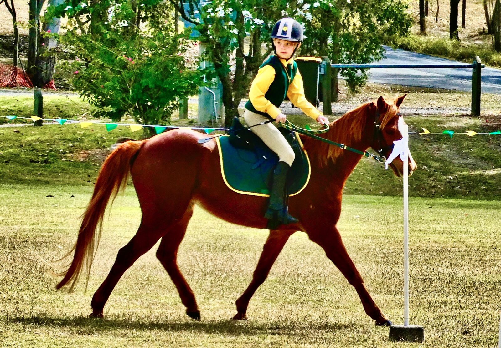 Panasonic Lumix DC-ZS70 (Lumix DC-TZ90) sample photo. Rider, competition, horse photography