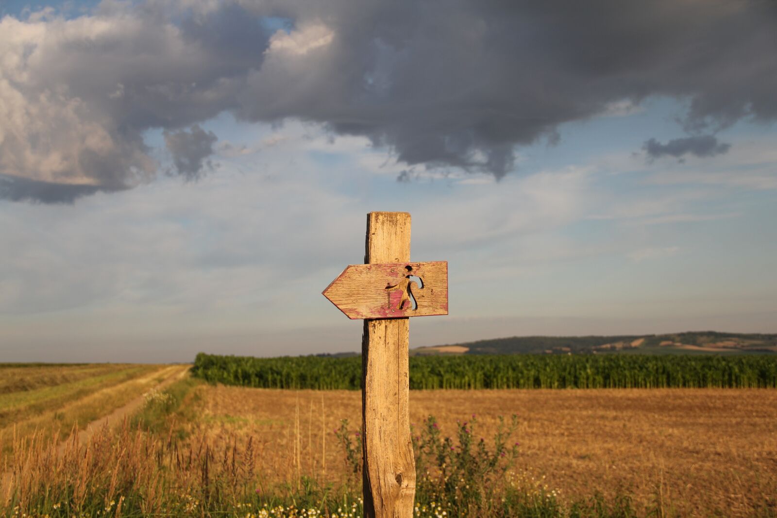 Canon EOS 550D (EOS Rebel T2i / EOS Kiss X4) sample photo. Summer, clouds, field photography