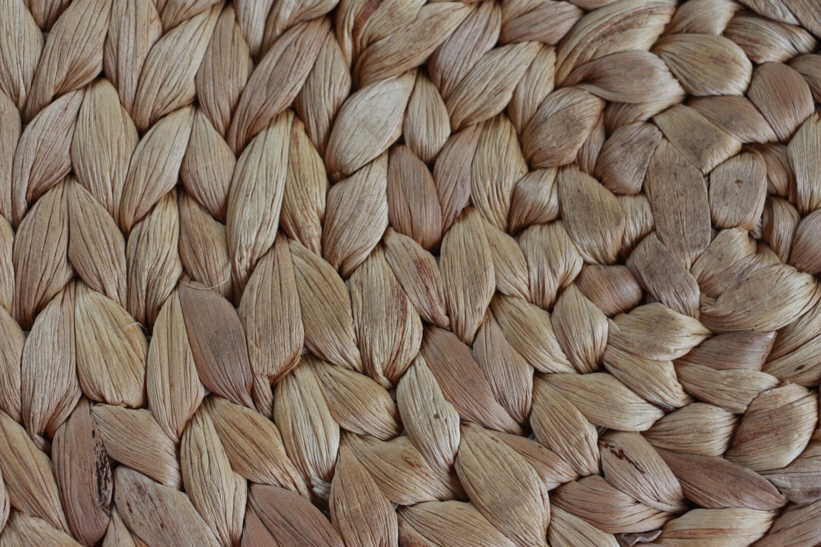 Canon EOS 700D (EOS Rebel T5i / EOS Kiss X7i) sample photo. Sample, abstract, structure photography