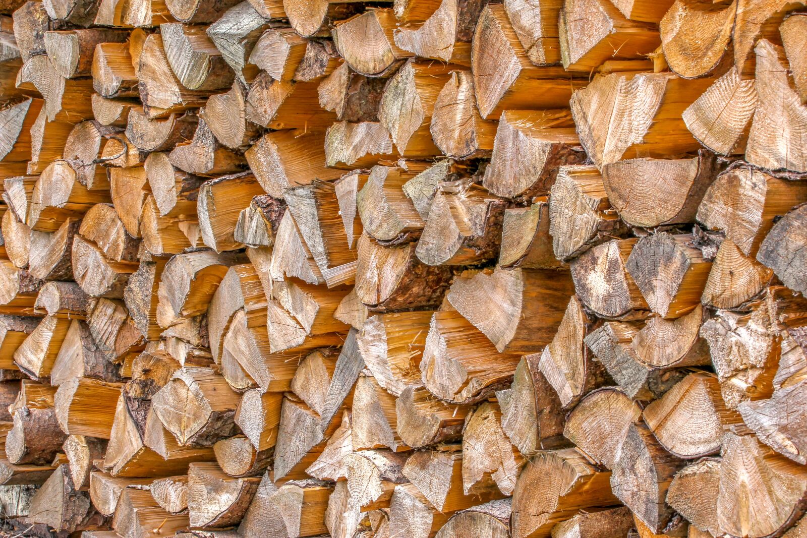 Canon EOS 60D sample photo. Nature, holzstapel, wood photography