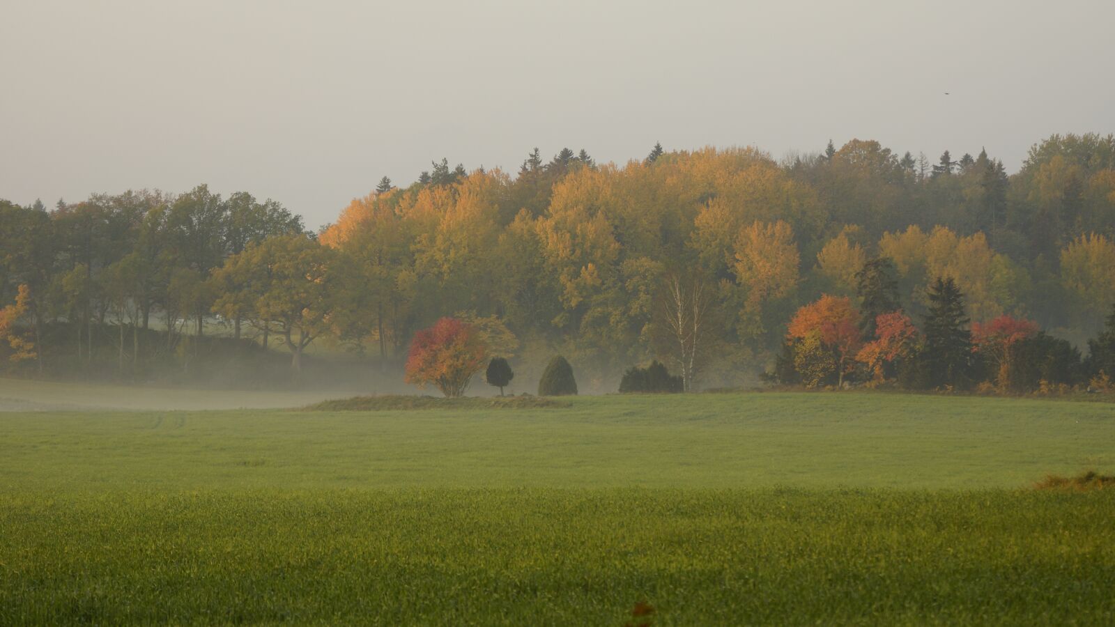 Tamron SP 70-300mm F4-5.6 Di USD sample photo. Autumn, field, countryside photography