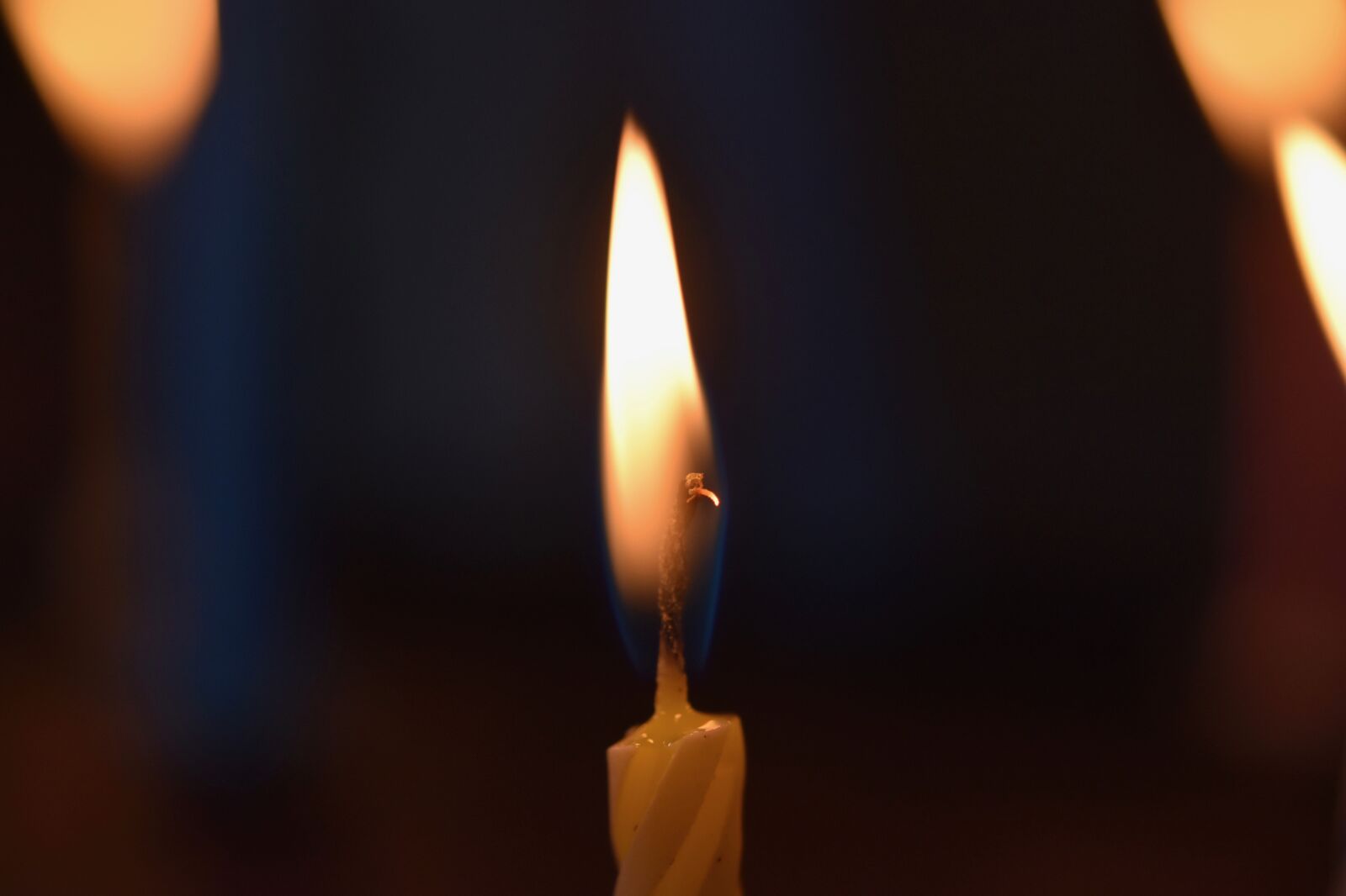Nikon D5600 sample photo. Flame, candle, fire photography
