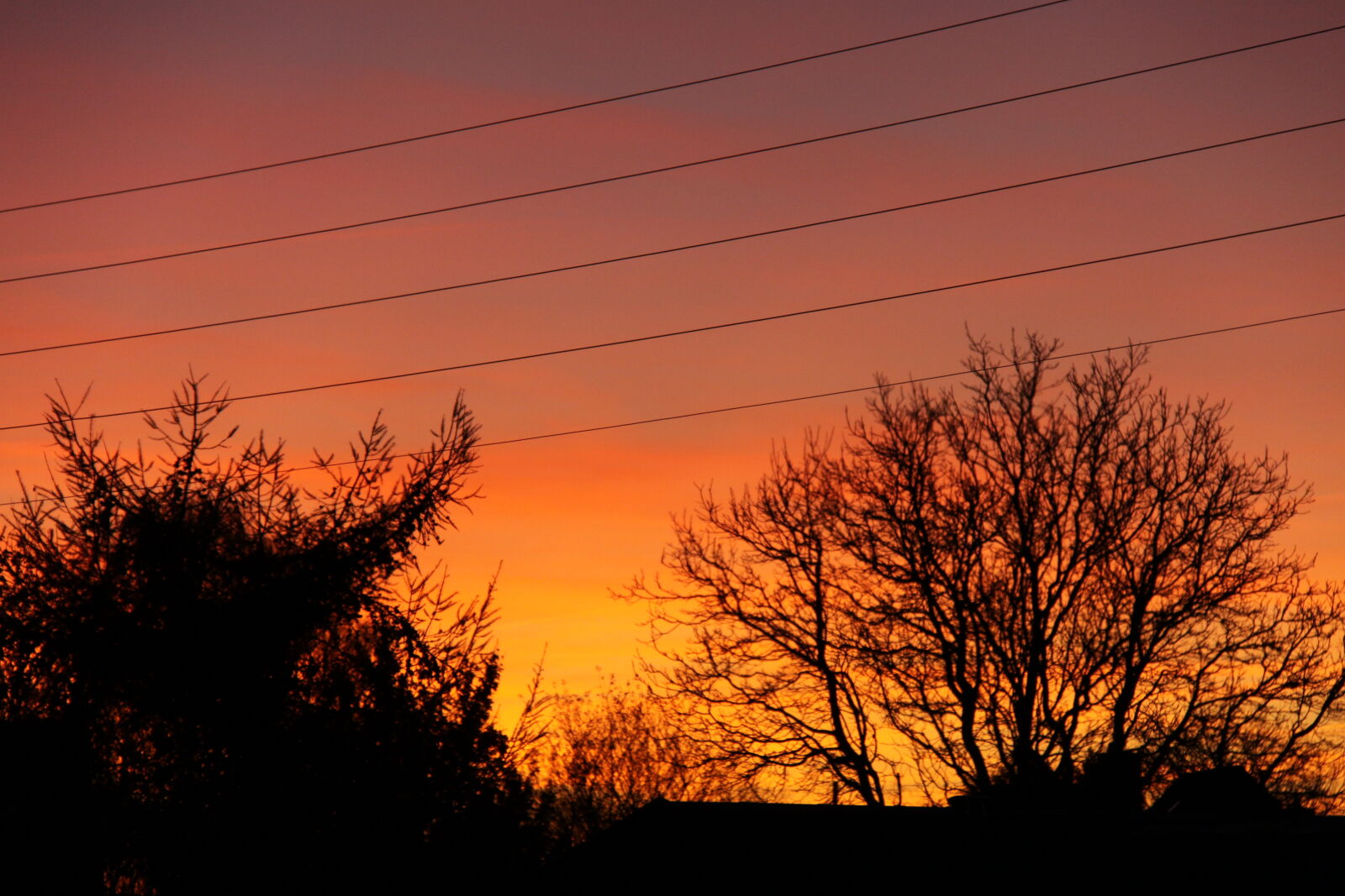 Canon EOS 50D sample photo. Afternoon, evening, orange, red photography