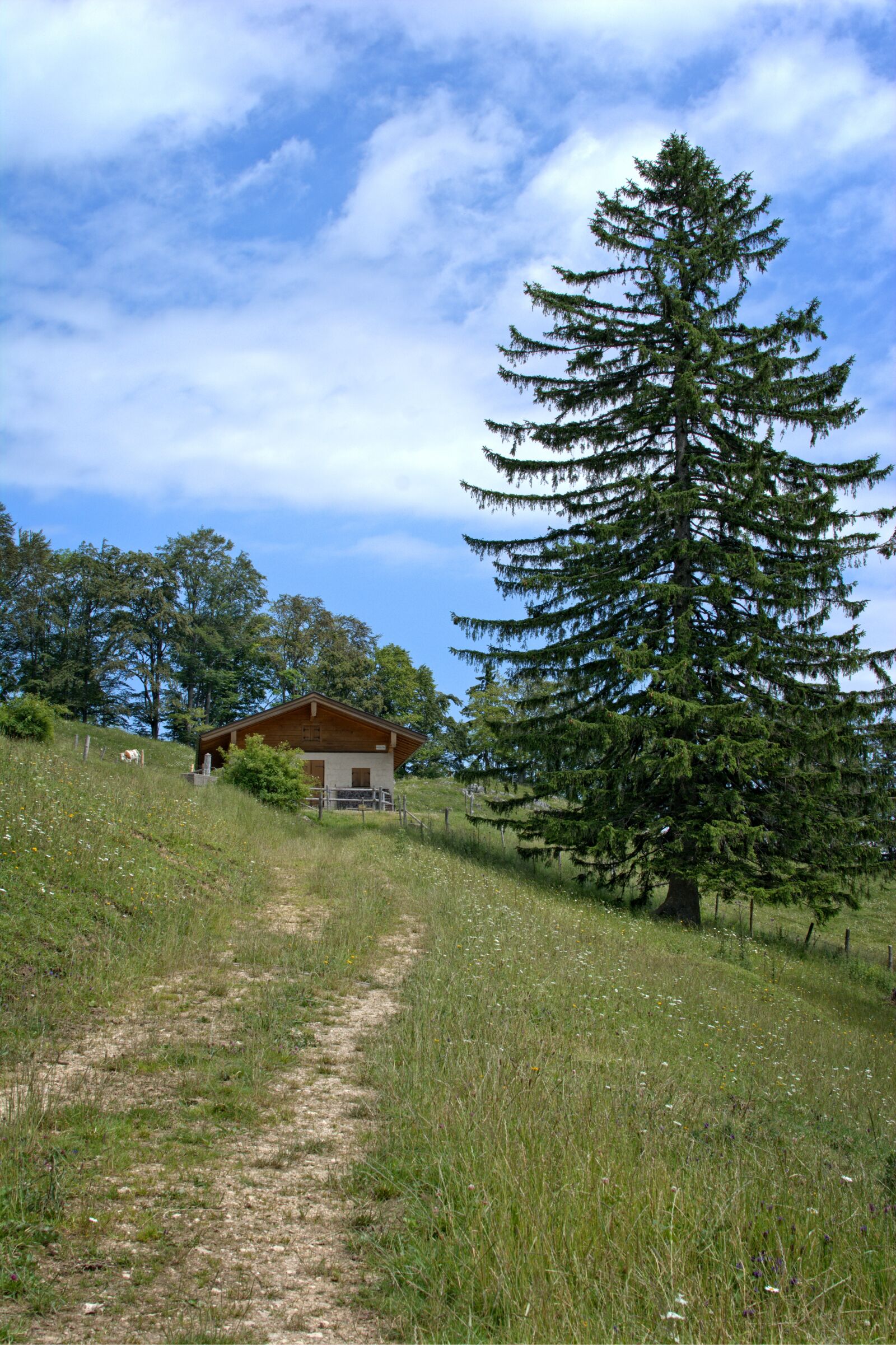 Nikon D7100 sample photo. Landscape, nature, bavaria photography