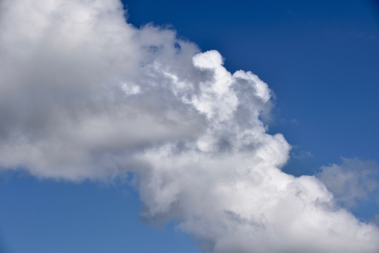 Nikon D5600 sample photo. Clouds, cumulus, cloudy photography