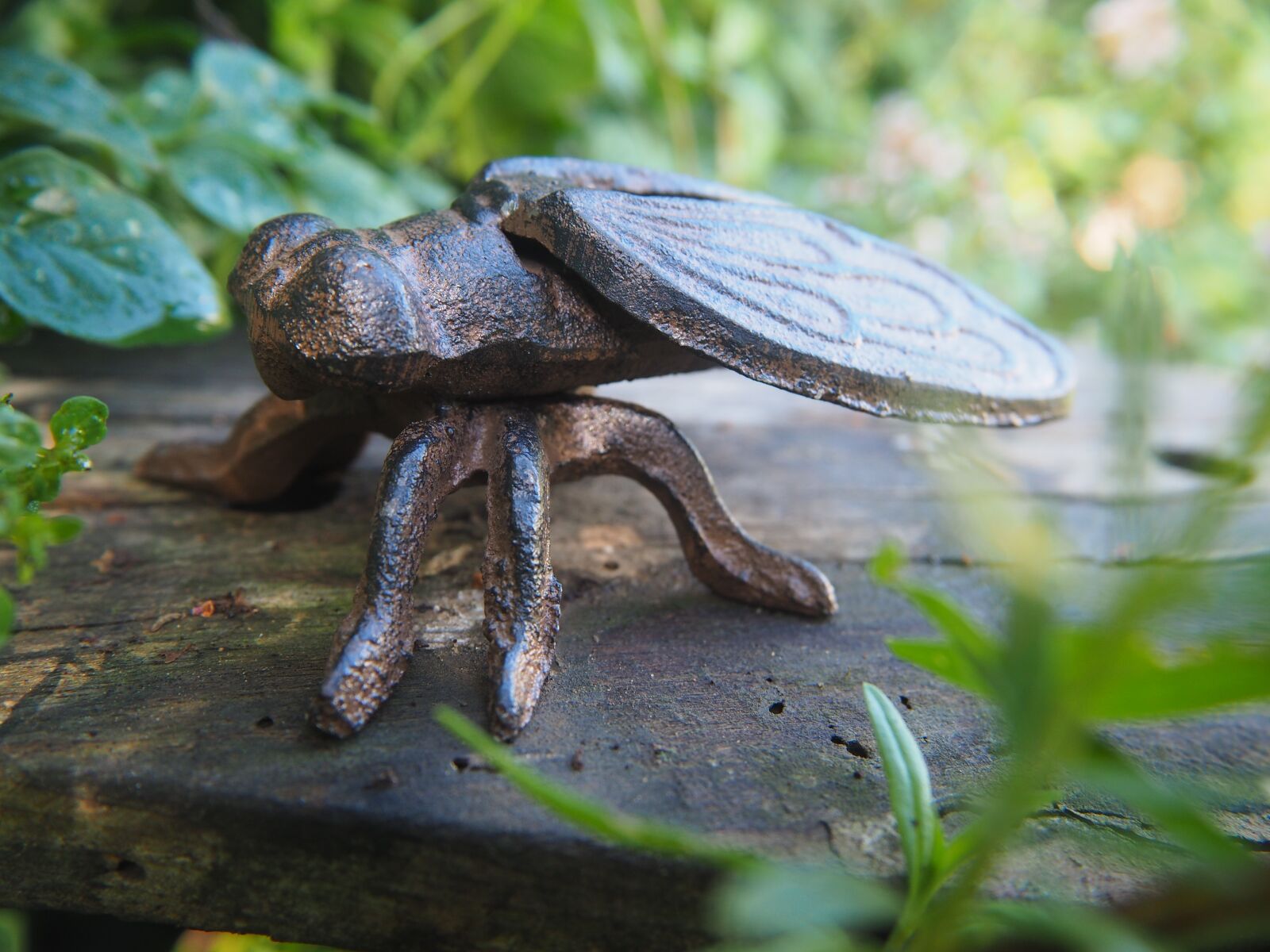 Olympus OM-D E-M10 sample photo. Fly, garden, decoration photography
