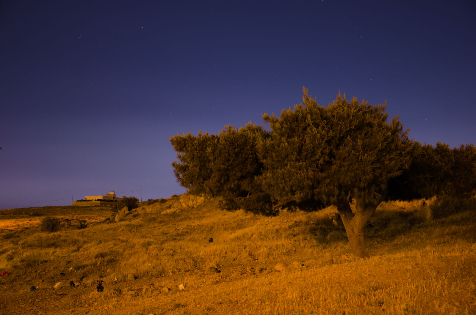 Nikon D5100 sample photo
